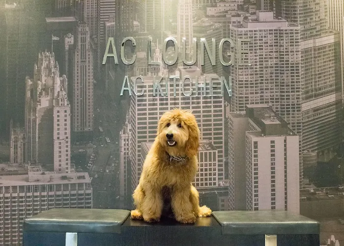 Ac Downtown Hotel 4*