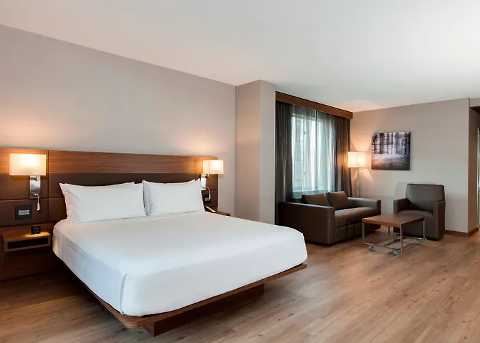 Hotel Ac Downtown 4*